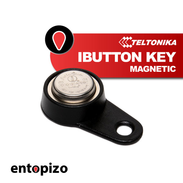 Chiave magnetica Teltonika iButton (PPEX00000050)