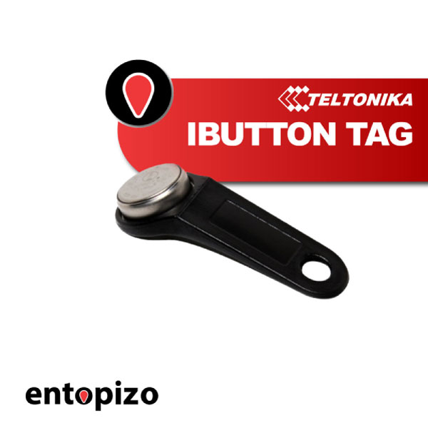 TAG IBUTTON
