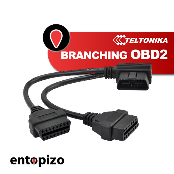 RAMIFICAZIONE OBD2