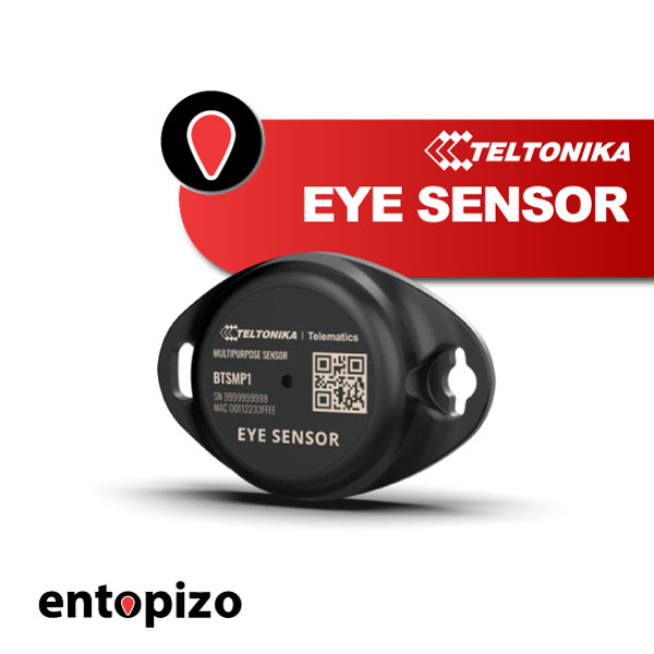 Multi-Sensore Bluetooth | Teltonika EYE Sensor BTSMP