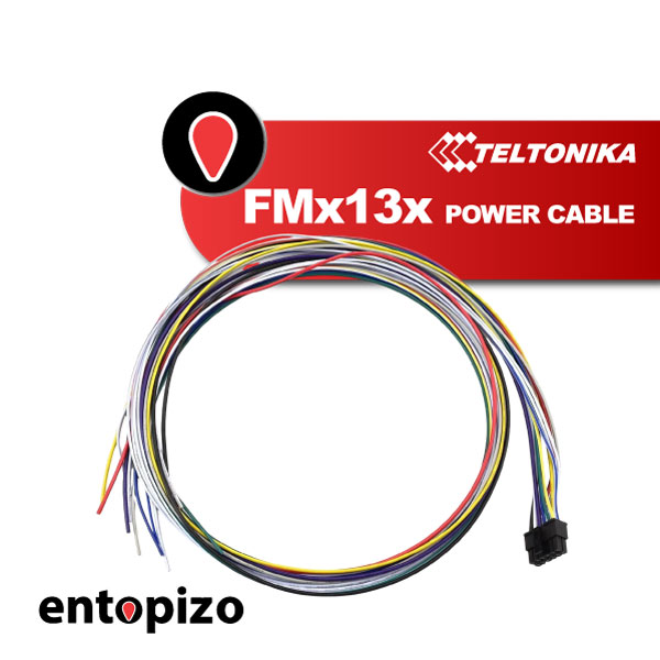 Teltonika PGWS00007030 FMx12x FMx13x Cavo di alimentazione da 1,5 m