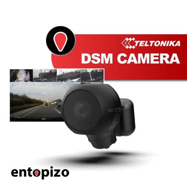 Teltonika DSM Camera