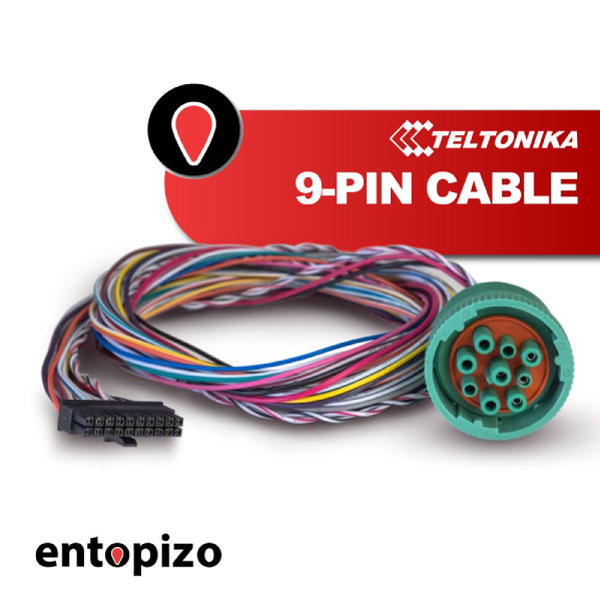 Cavo Teltonika serie FMx6 a 9 PIN (PPCB00007240)