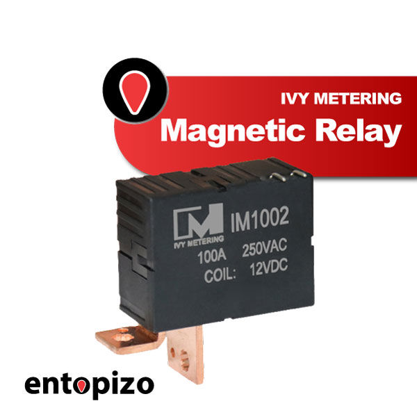 IM1002 Relè magnetico bistabile 24 V CC 100 A (2 poli)